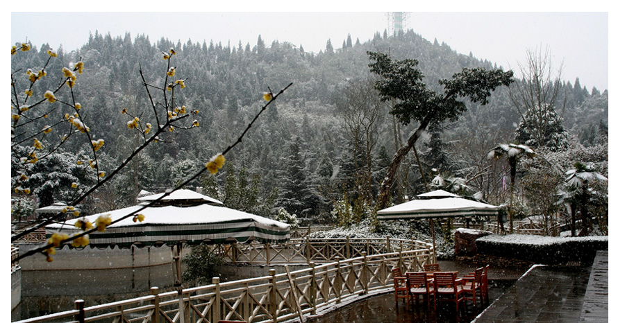 格林博雅飯店員工服裝成功設(shè)計方案