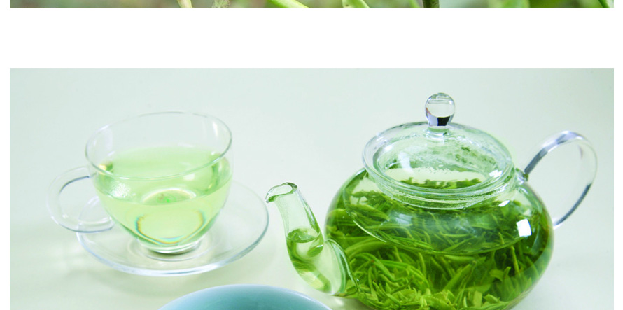 康師傅綠茶促銷員工制服設(shè)計(jì)成功案例