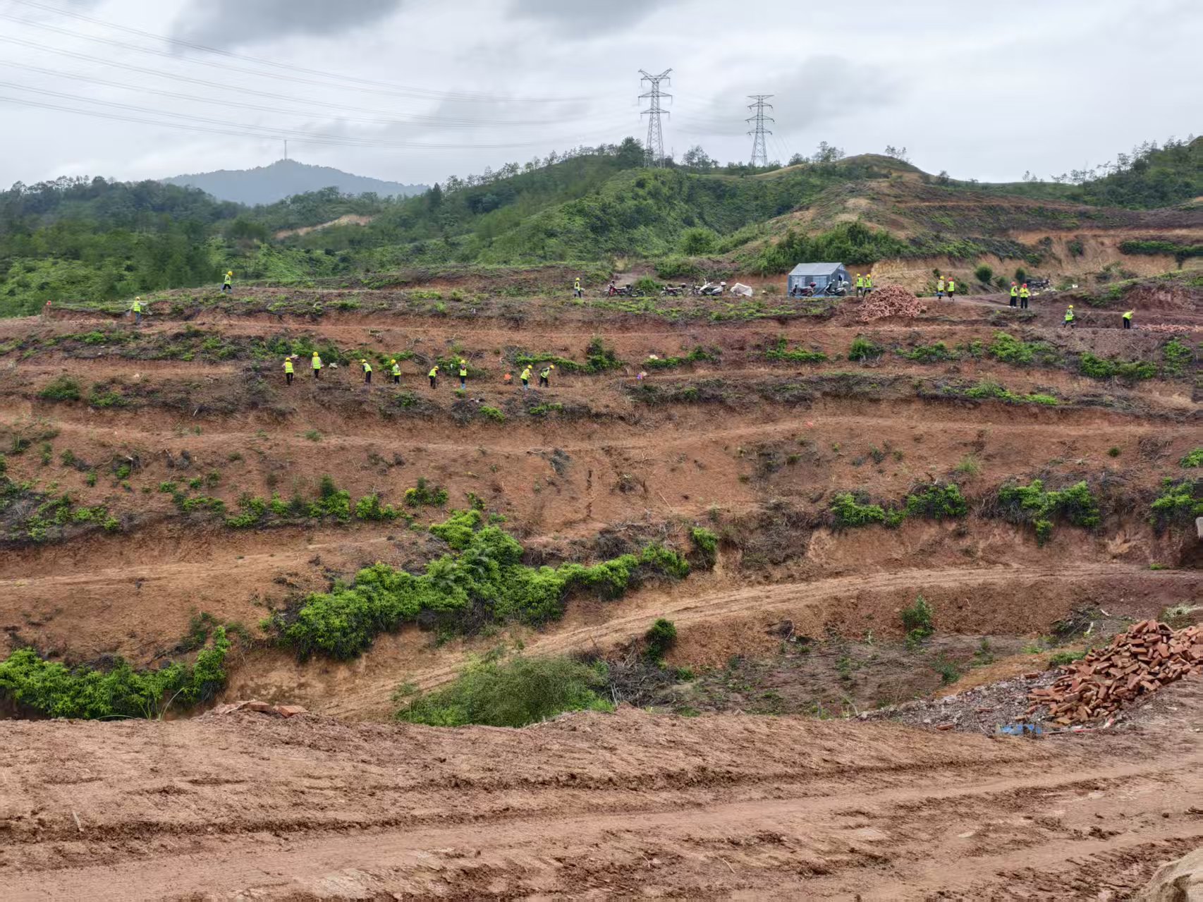 友聯哨兵于原始重點林區的山巔處駐守，守住林海，遏制盜伐行為